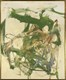 Joan Mitchell, Hommage à Larry Campbell, circa 1959-1962, huile sur toile, 65 x 54 cm, Collection du peintre Zao Wou-Ki / Donation Françoise Marquet-Zao, Musée de l'Hospice Saint-Roch, Issoudun