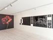 © Musée d'art de Pully. Photographe : Olga Cafiero.
