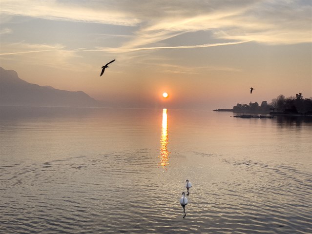 Coucher De Soleil Aux Deux Cygnes 2022